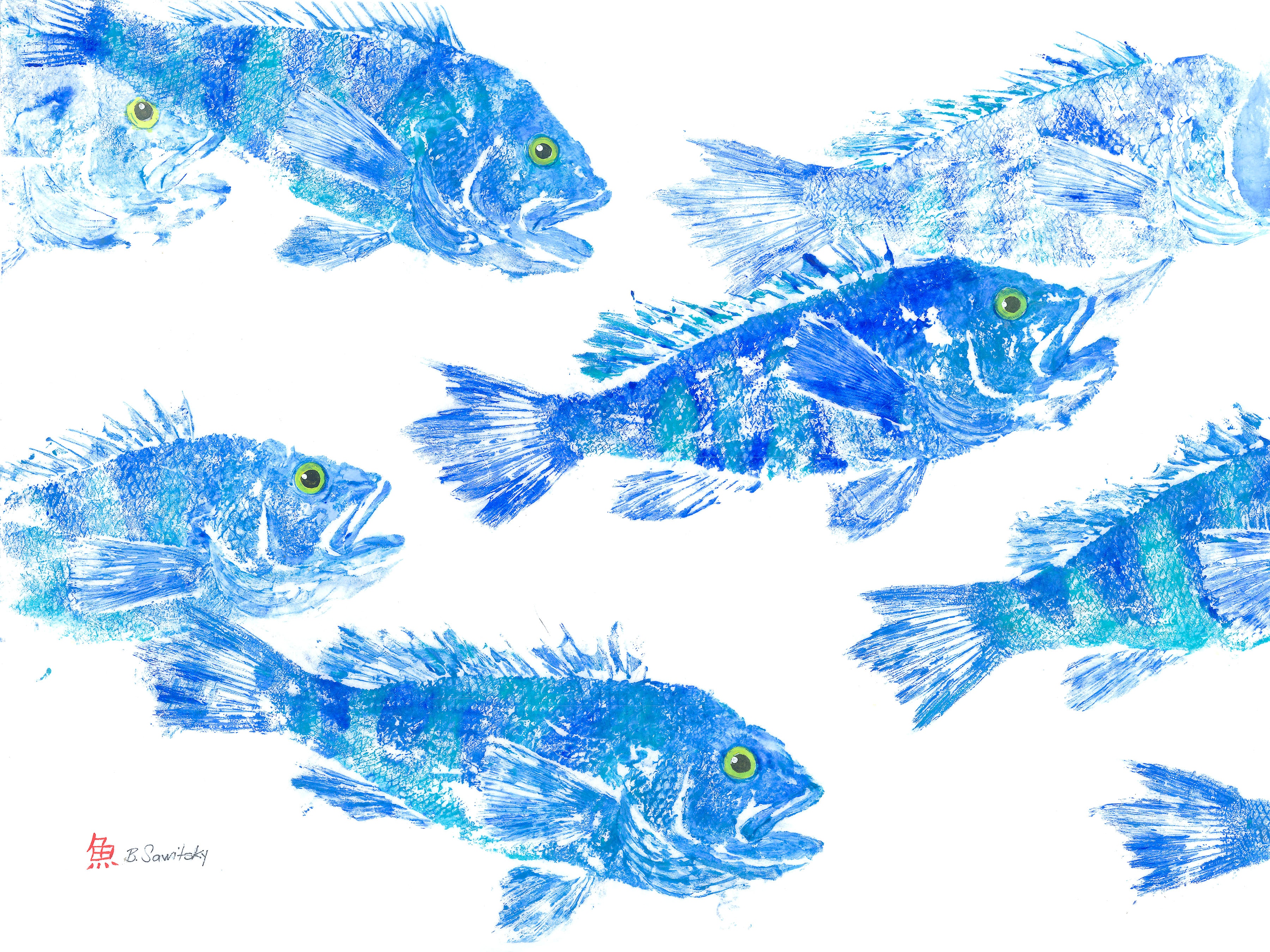 Blue Sea Bass School — Gyotaku school print by Bridget Sawitsky