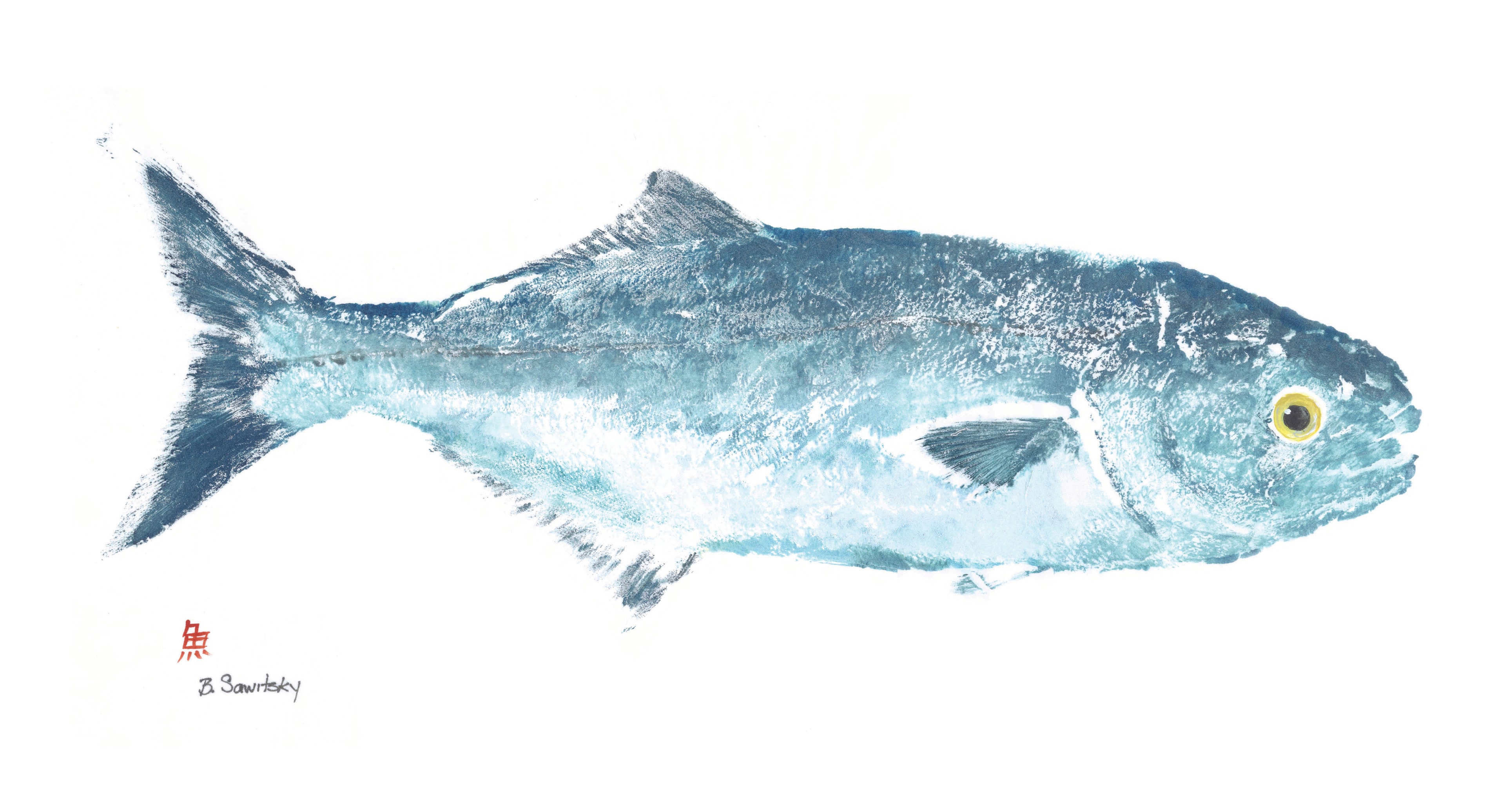 Bluefish — Gyotaku print by Bridget Sawitsky