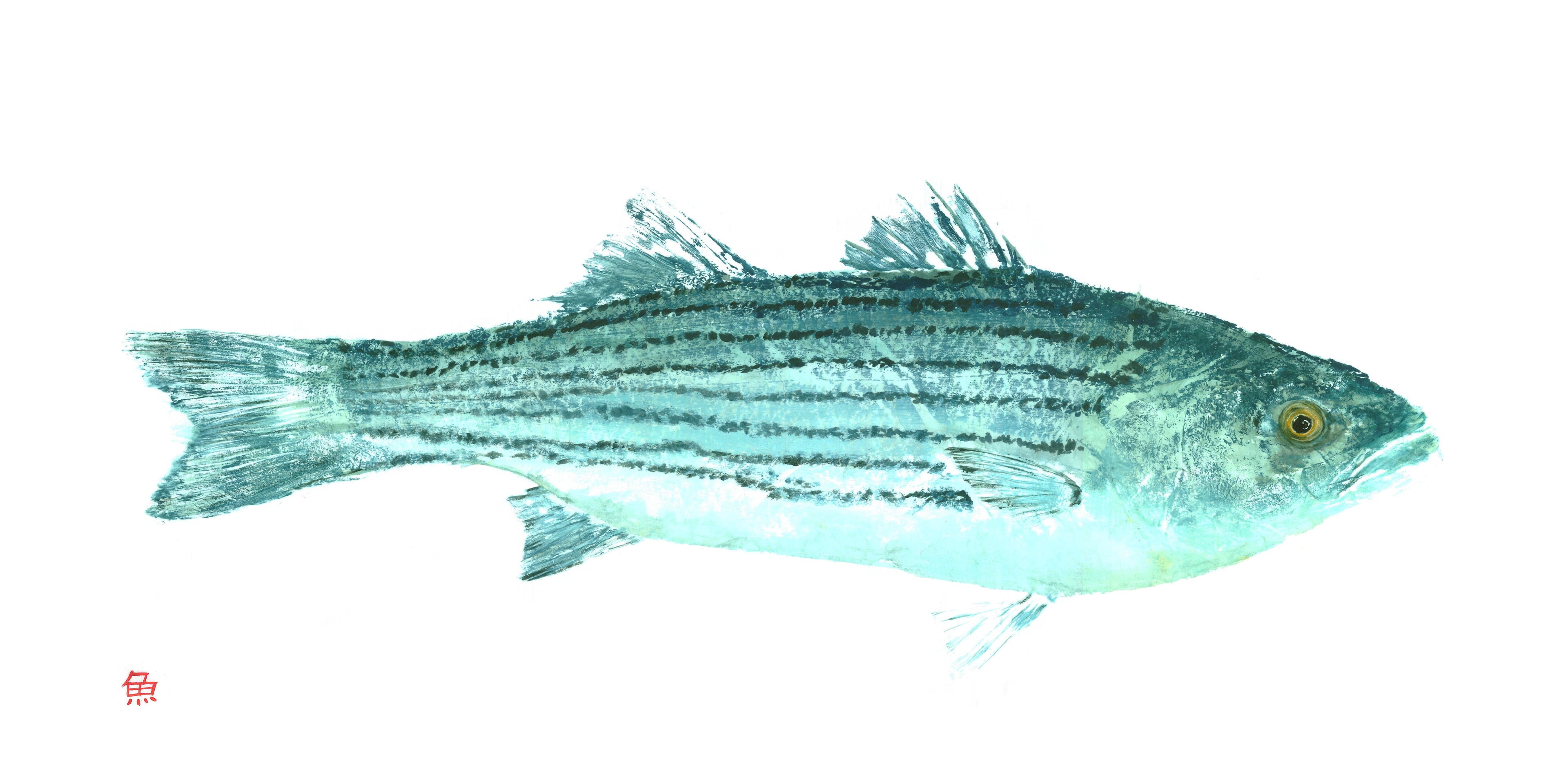 Striper — Gyotaku print by Bridget Sawitsky