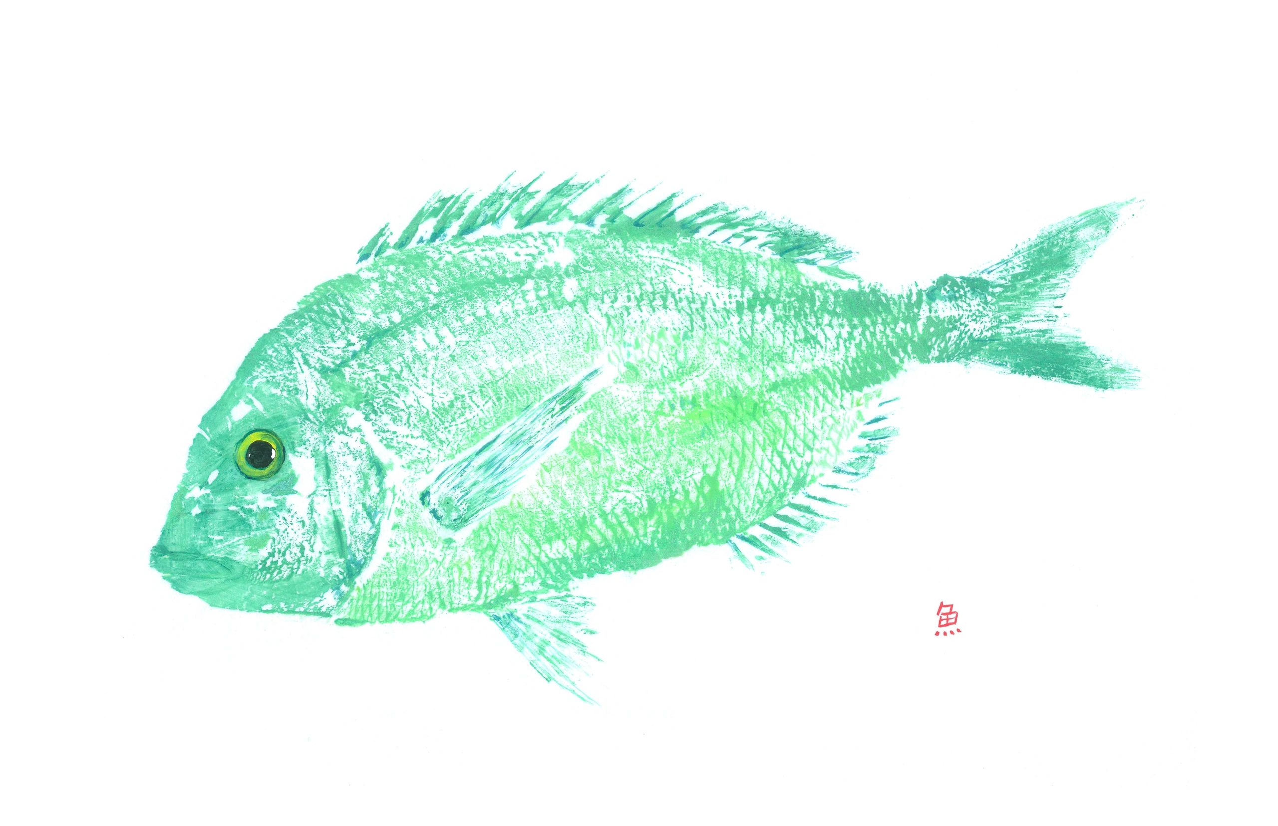 Green Porgy — Gyotaku giclee print by Bridget Sawitsky