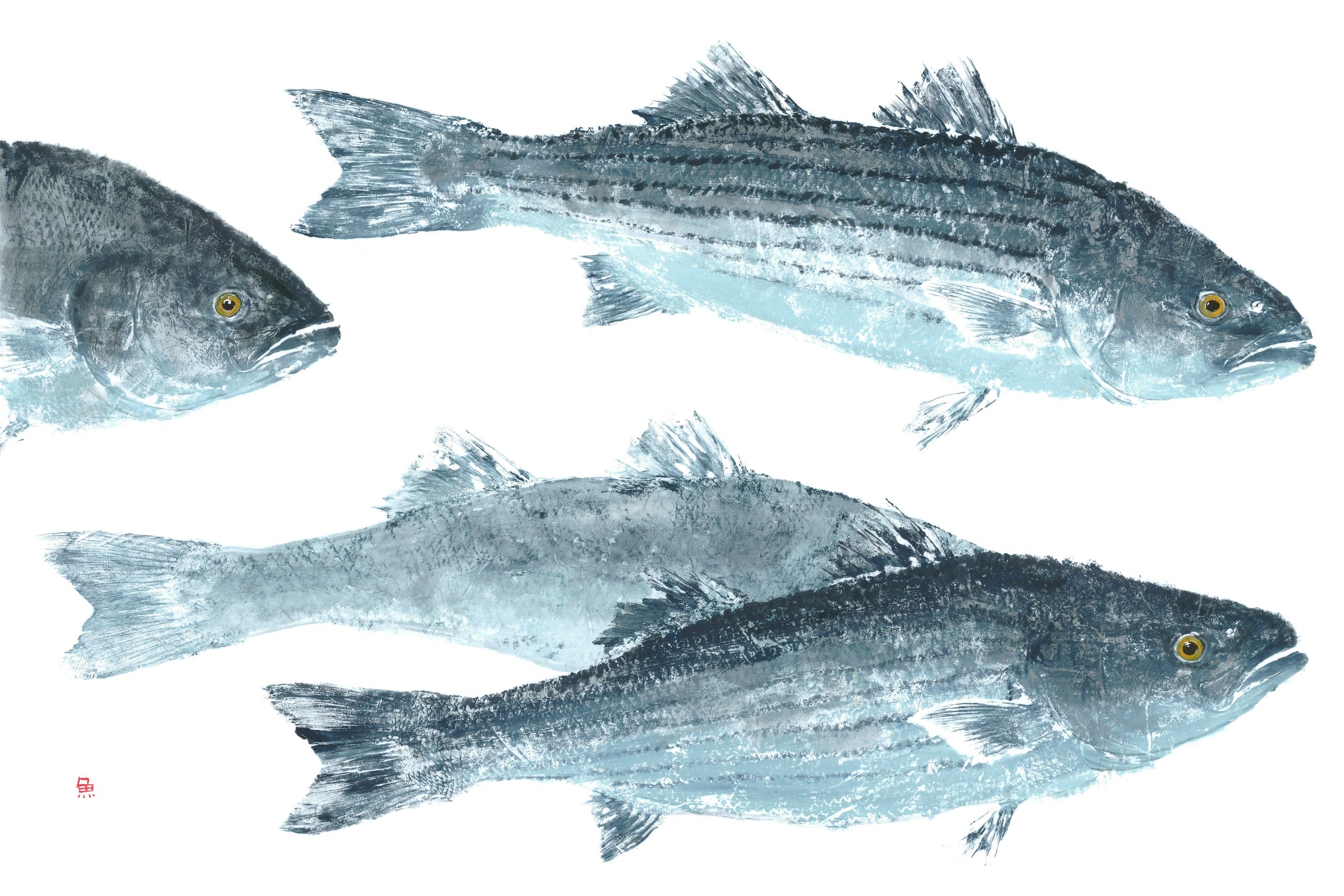 Striper School — Gyotaku giclee print by Bridget Sawitsky