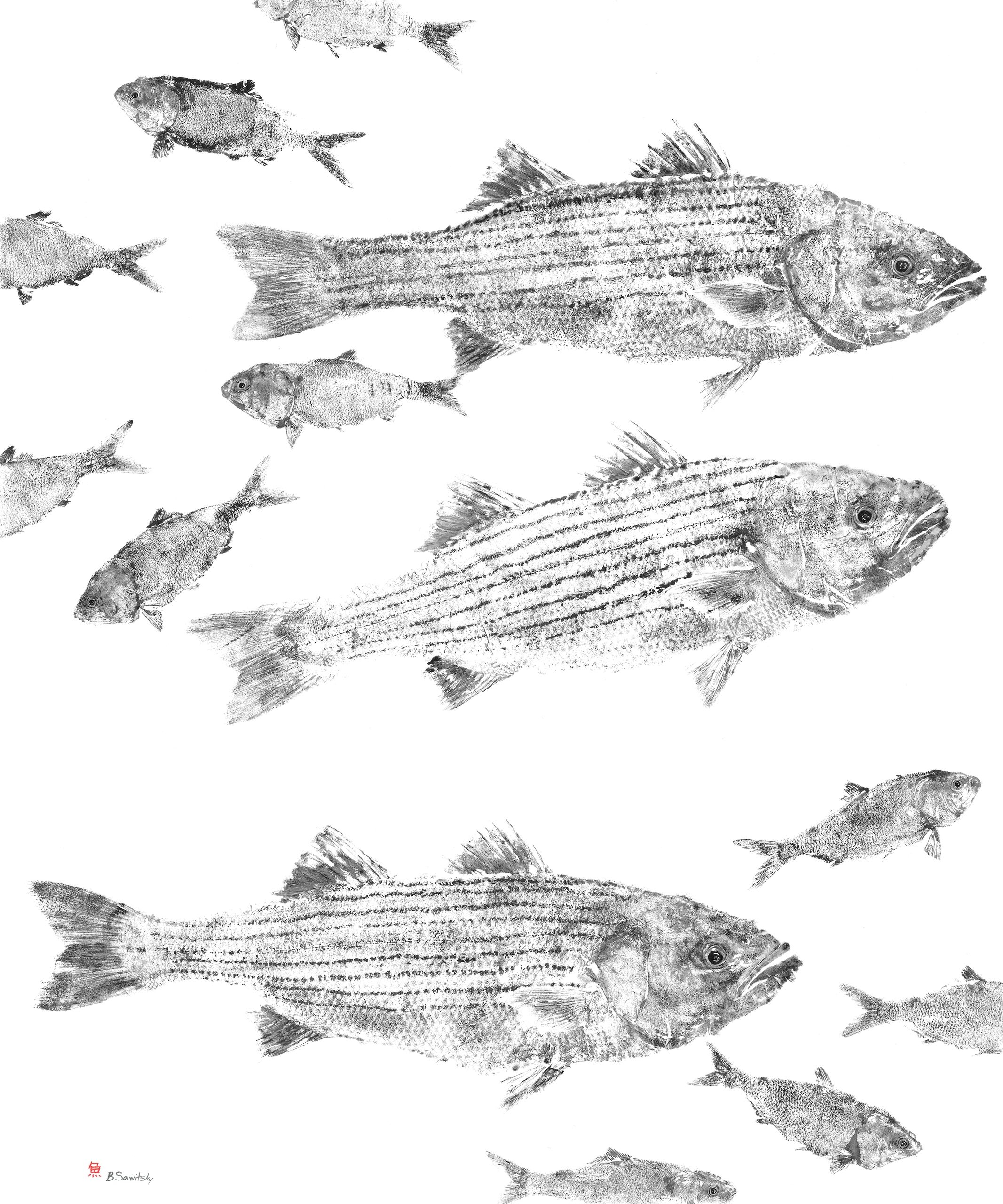 Feeding Time — Gyotaku giclee print by Bridget Sawitsky