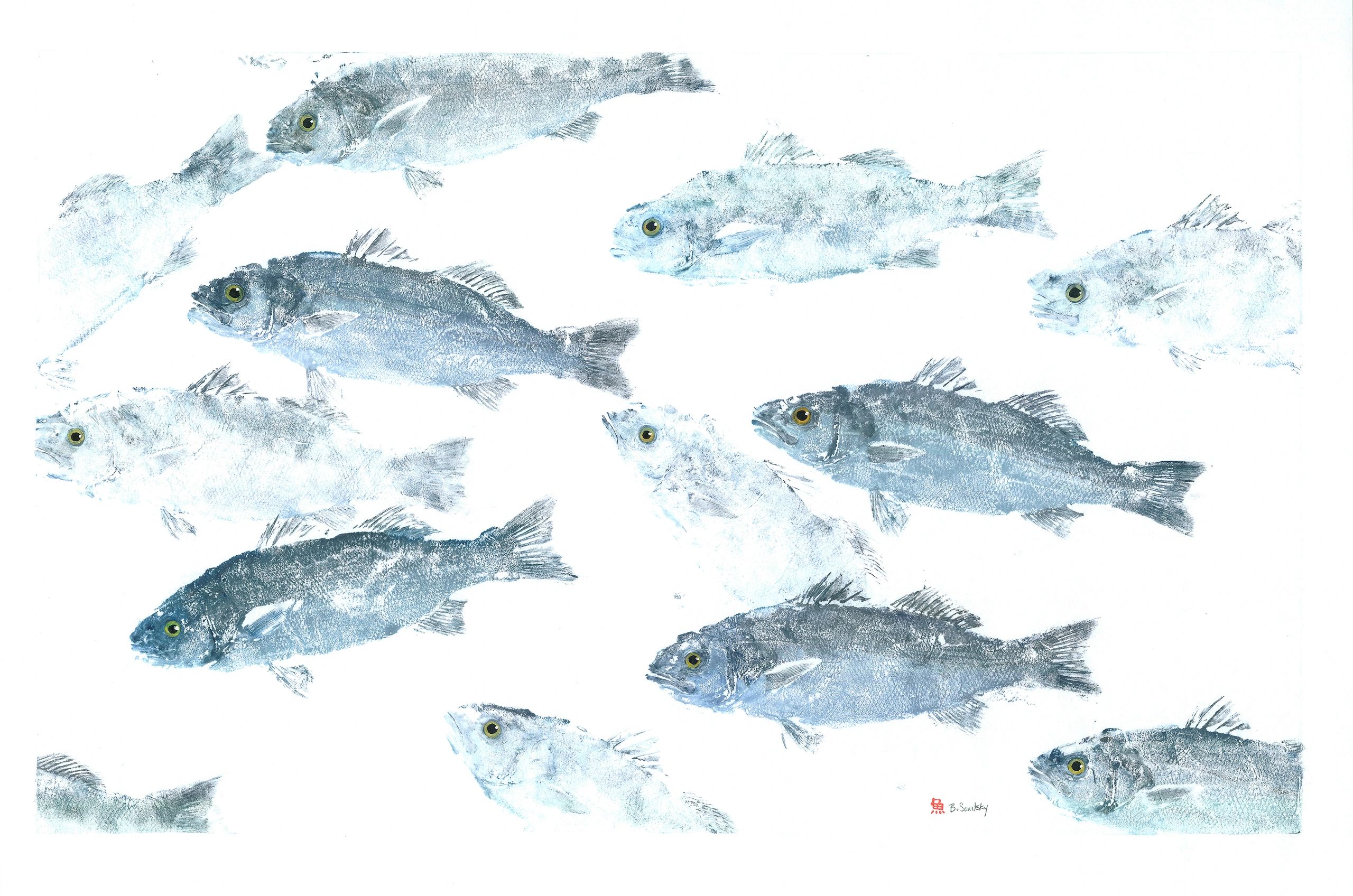 Blue Branzino School — Gyotaku giclee print by Bridget Sawitsky
