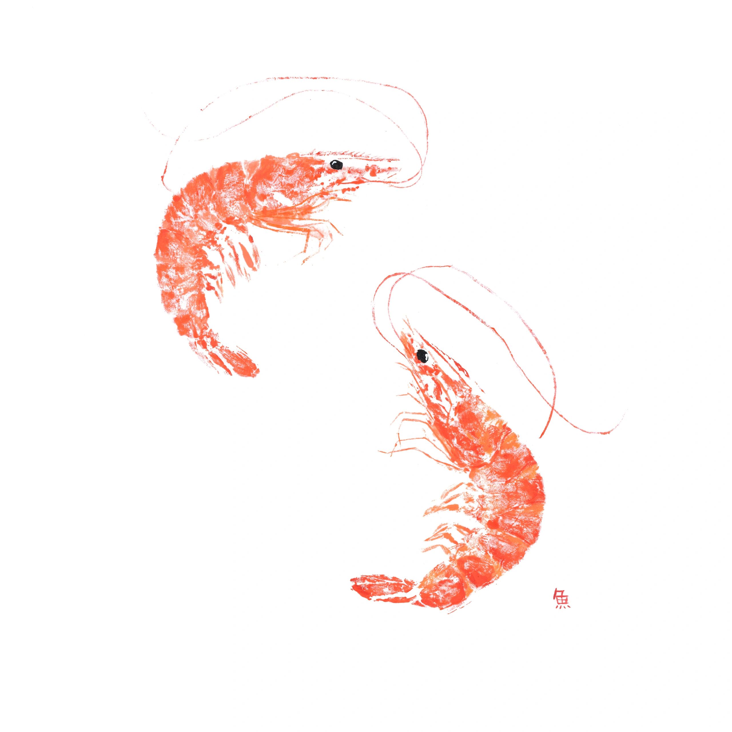 Shrimp Duo — Gyotaku giclee print by Bridget Sawitsky