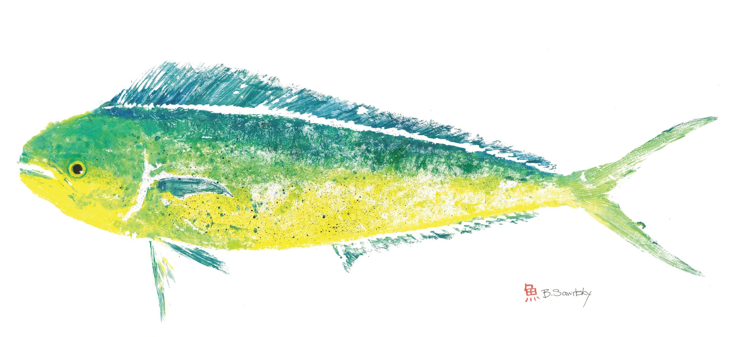 Mahi-Mahi — Gyotaku giclee print by Bridget Sawitsky